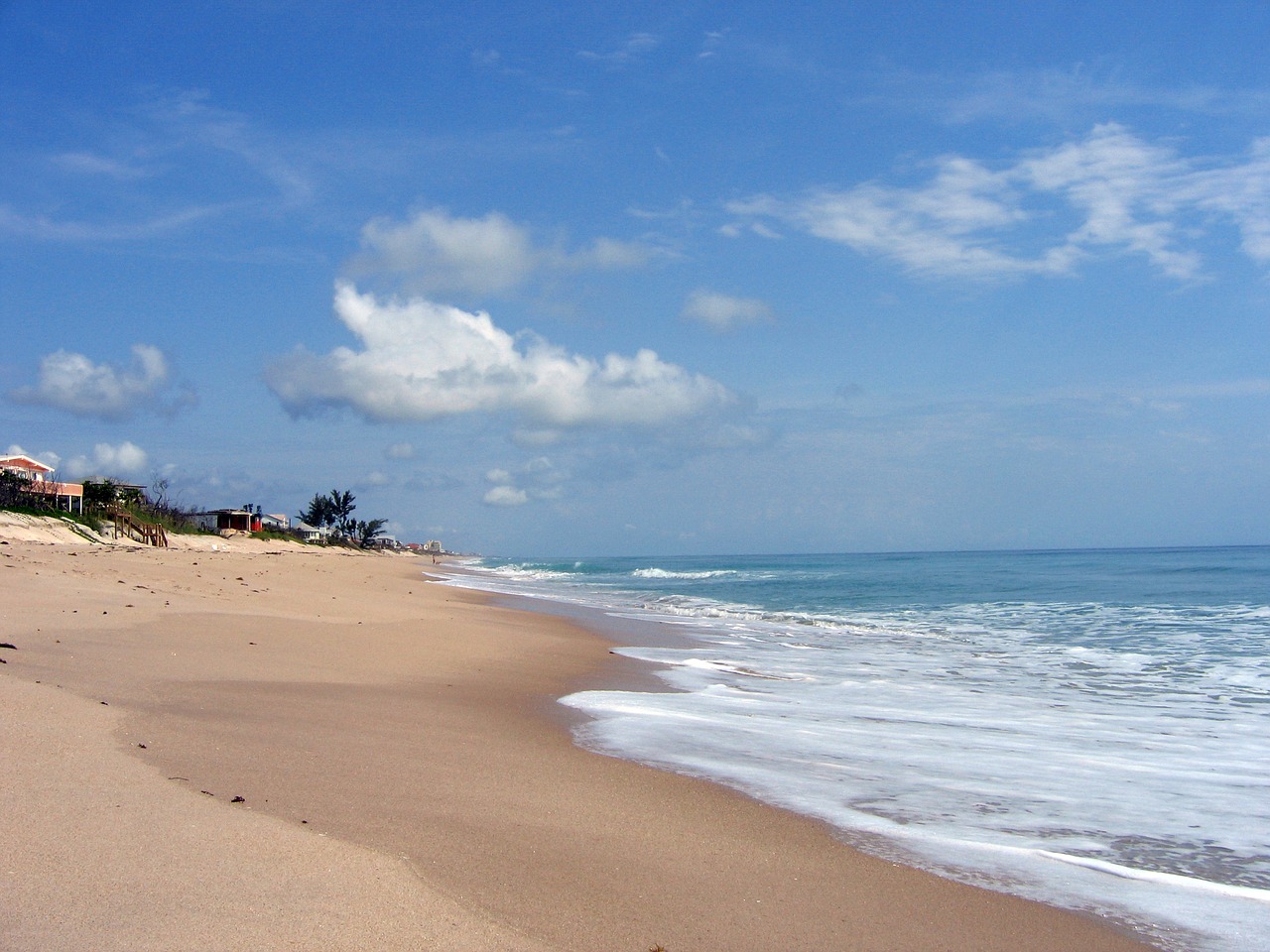 beach florida ocean free photo