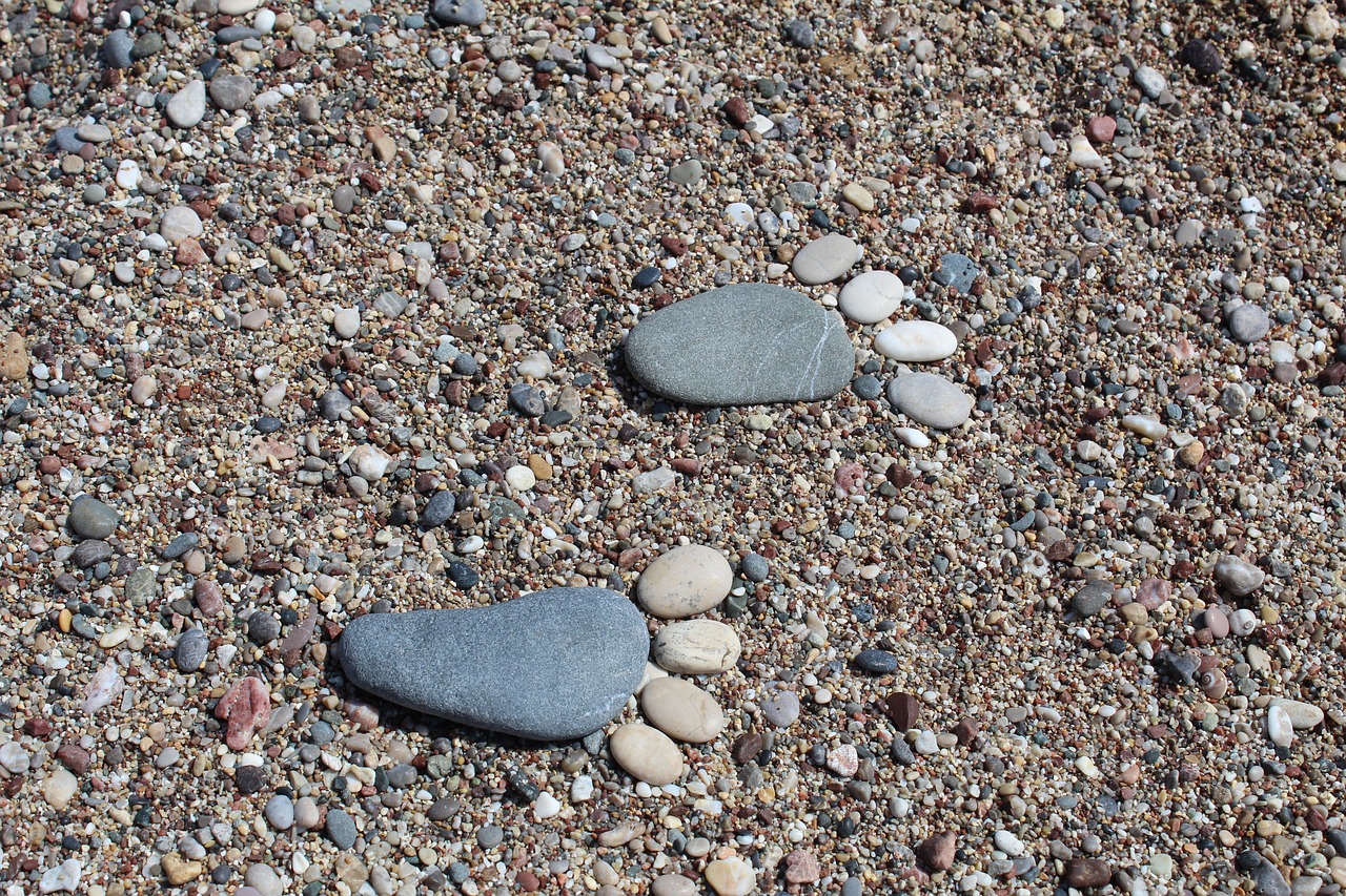 beach sea summer free photo