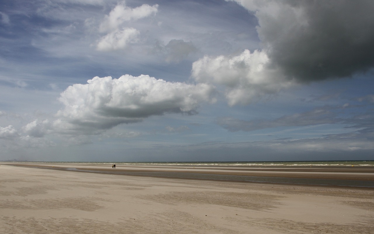 beach sea sandy beach free photo