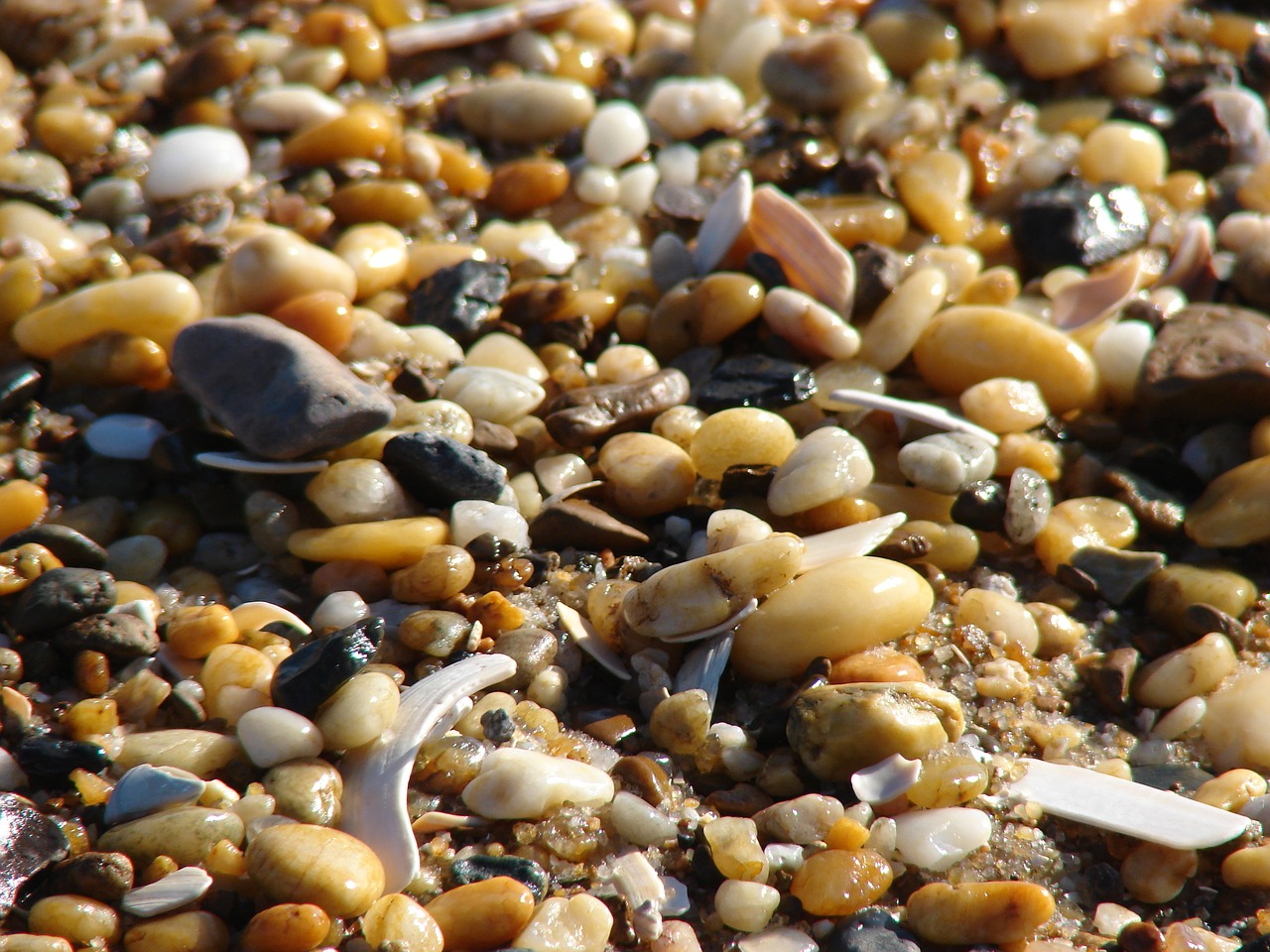 pebbles beach rocks free photo