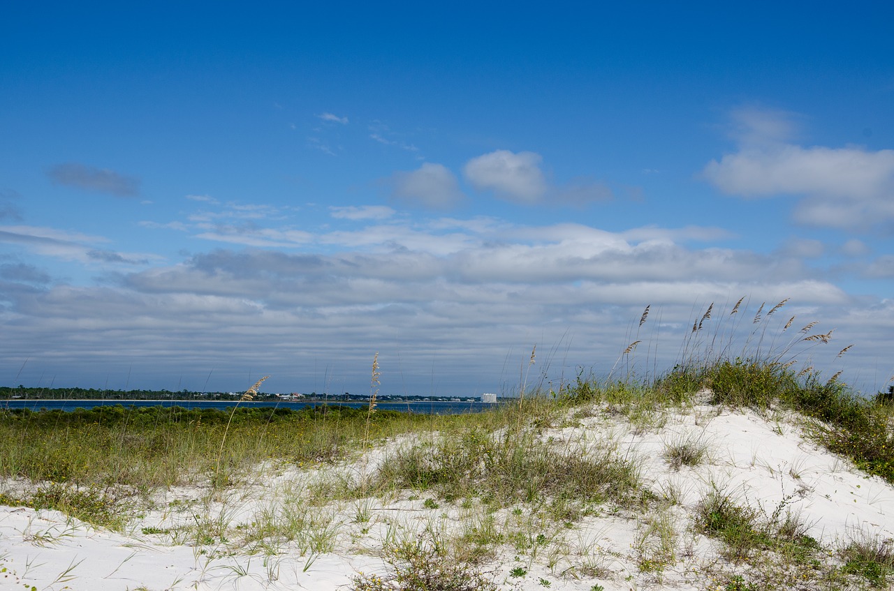 beach usa america free photo