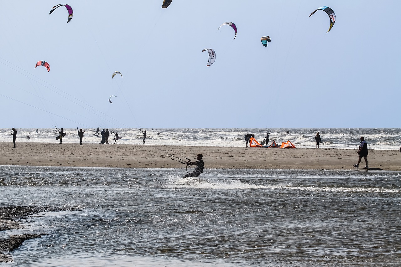 beach kite kite surfing free photo