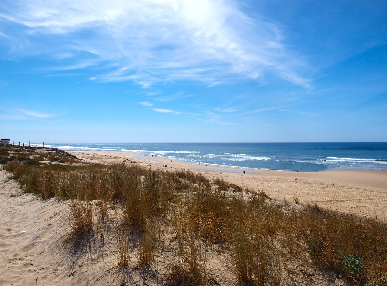 beach dunes ocean free photo