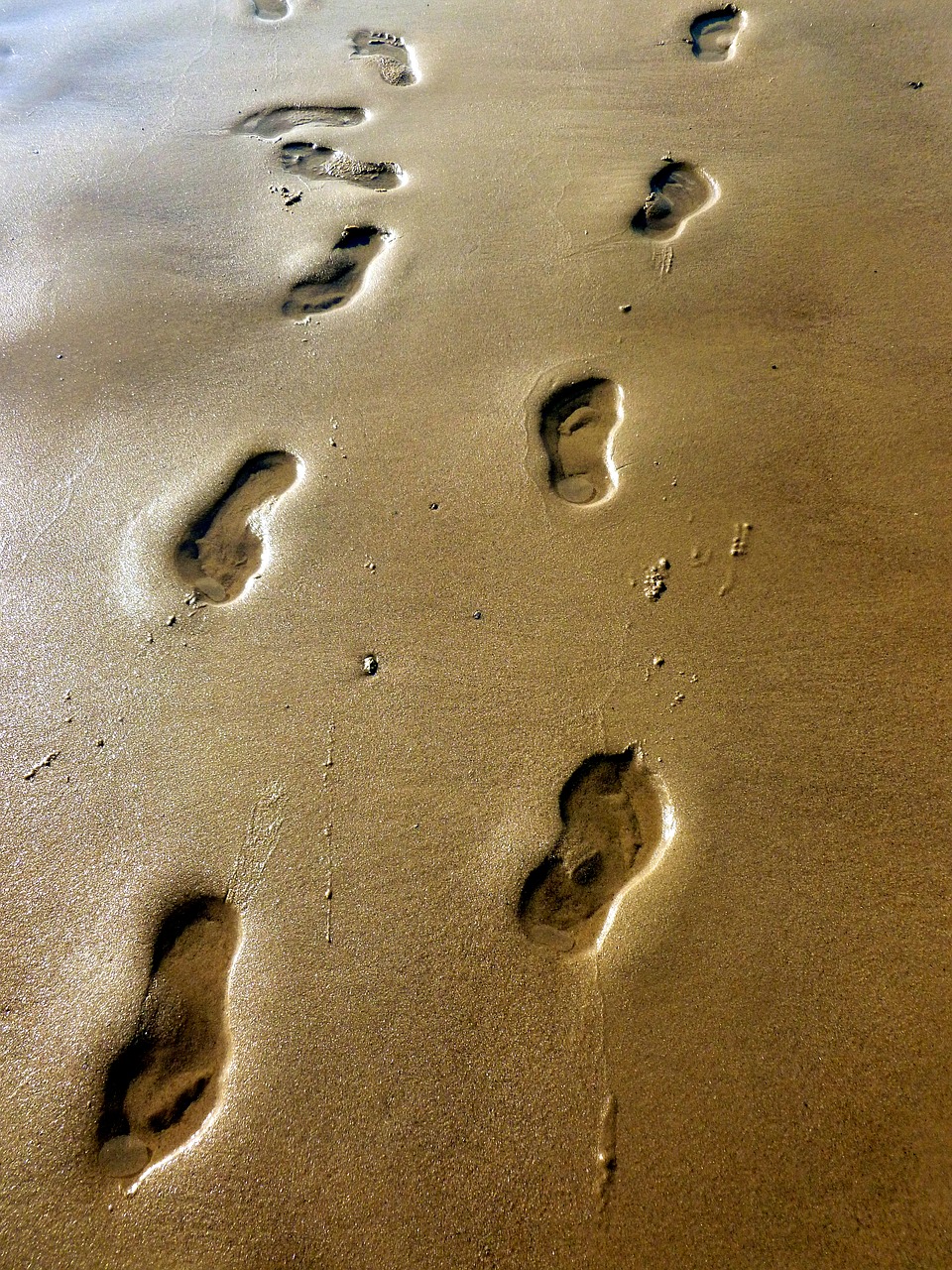 beach sand traces free photo