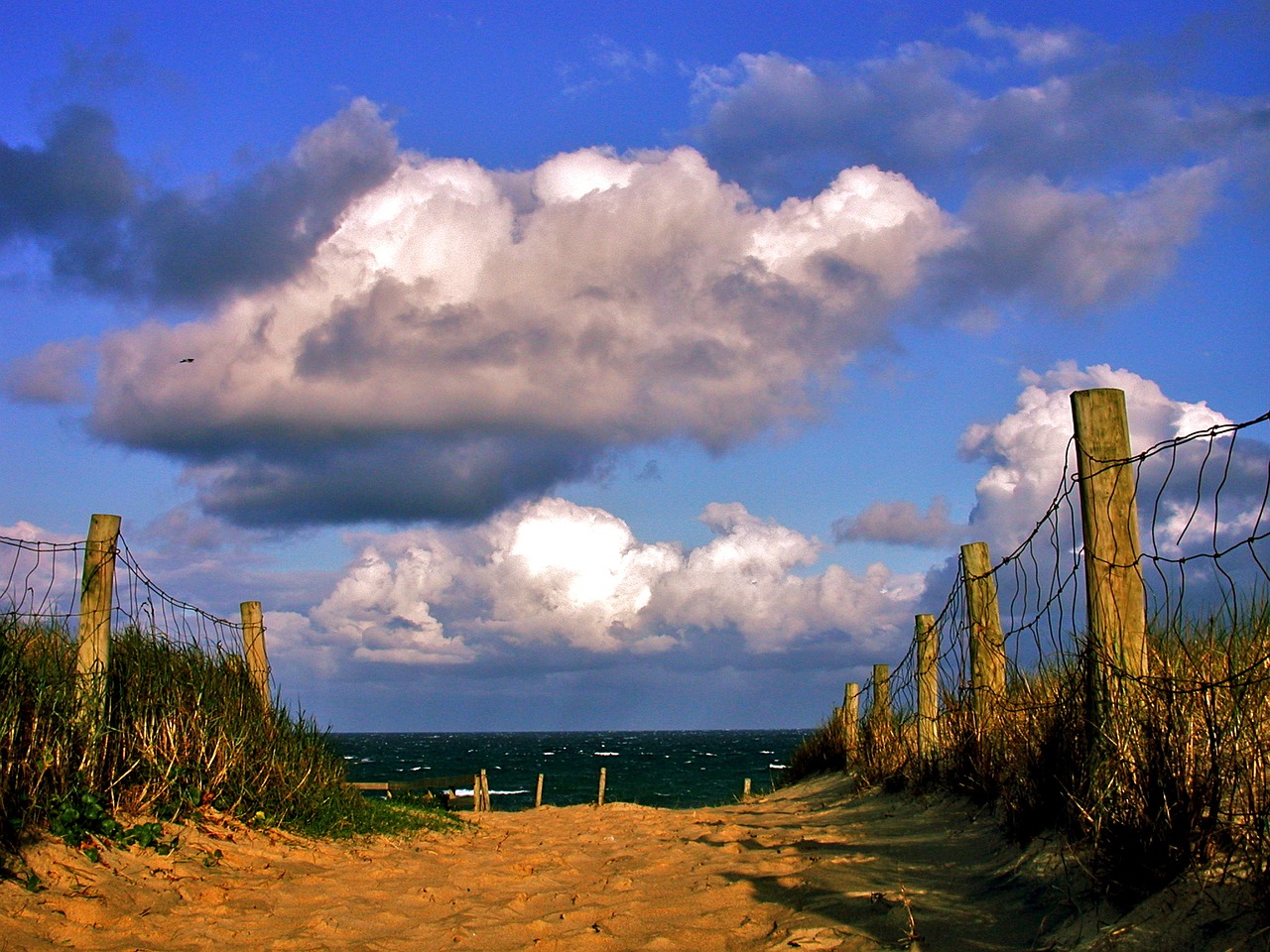 beach sea dunes free photo