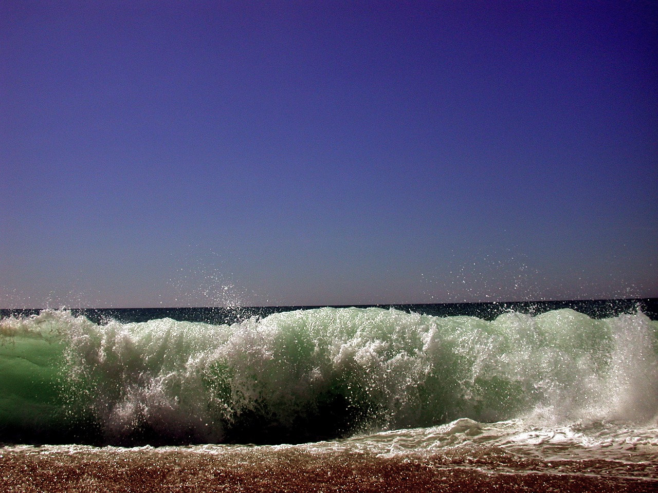 beach sea dunes free photo