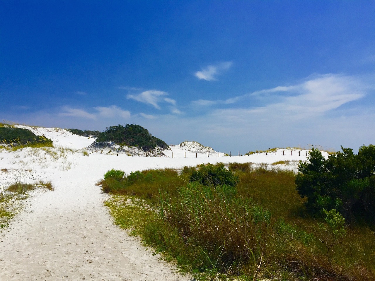 beach sand summer free photo