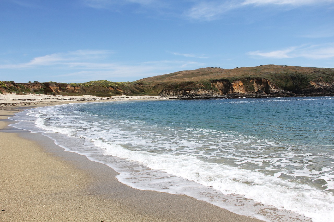 beach california bodega bay free photo