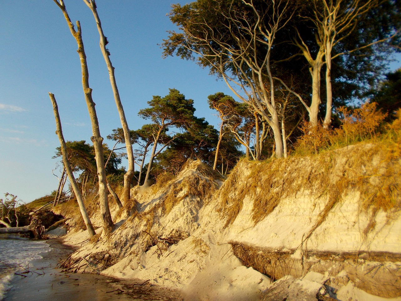 beach sea baltic sea free photo