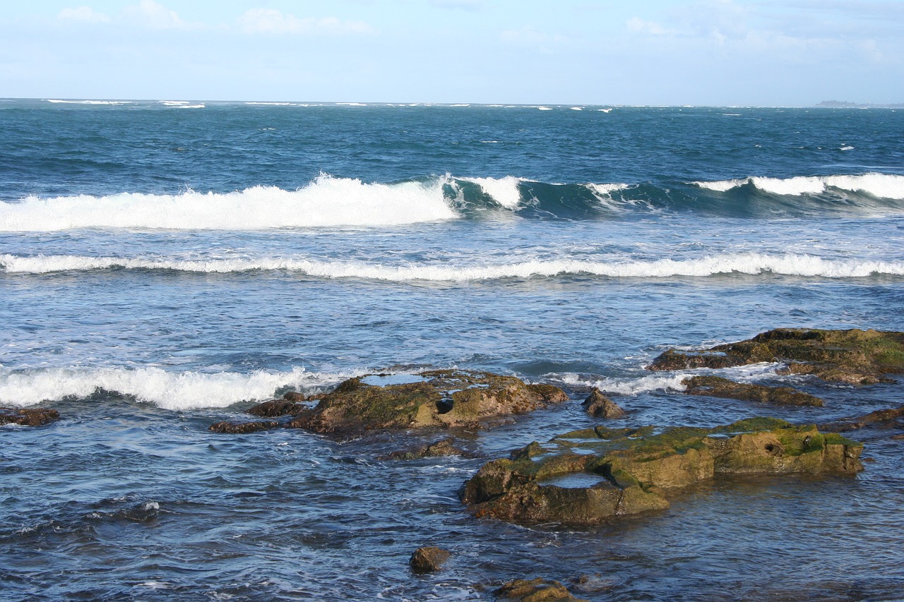 beach nature ocean free photo