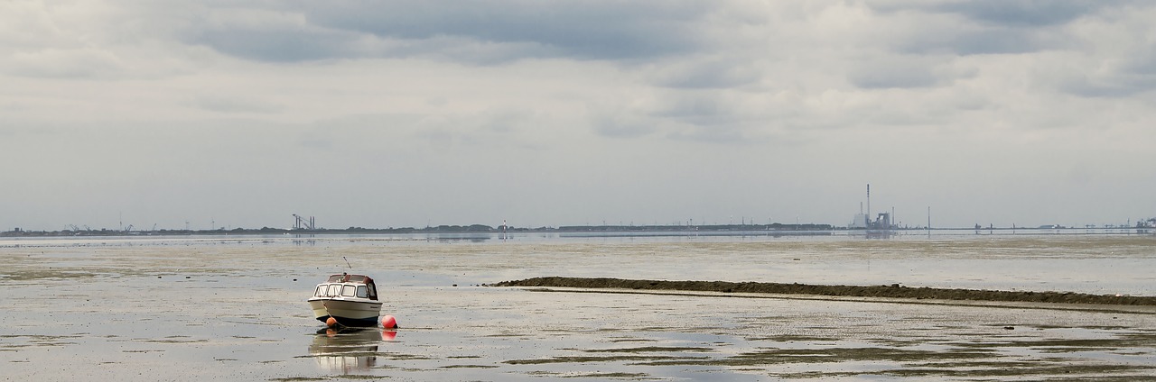 beach water mud free photo