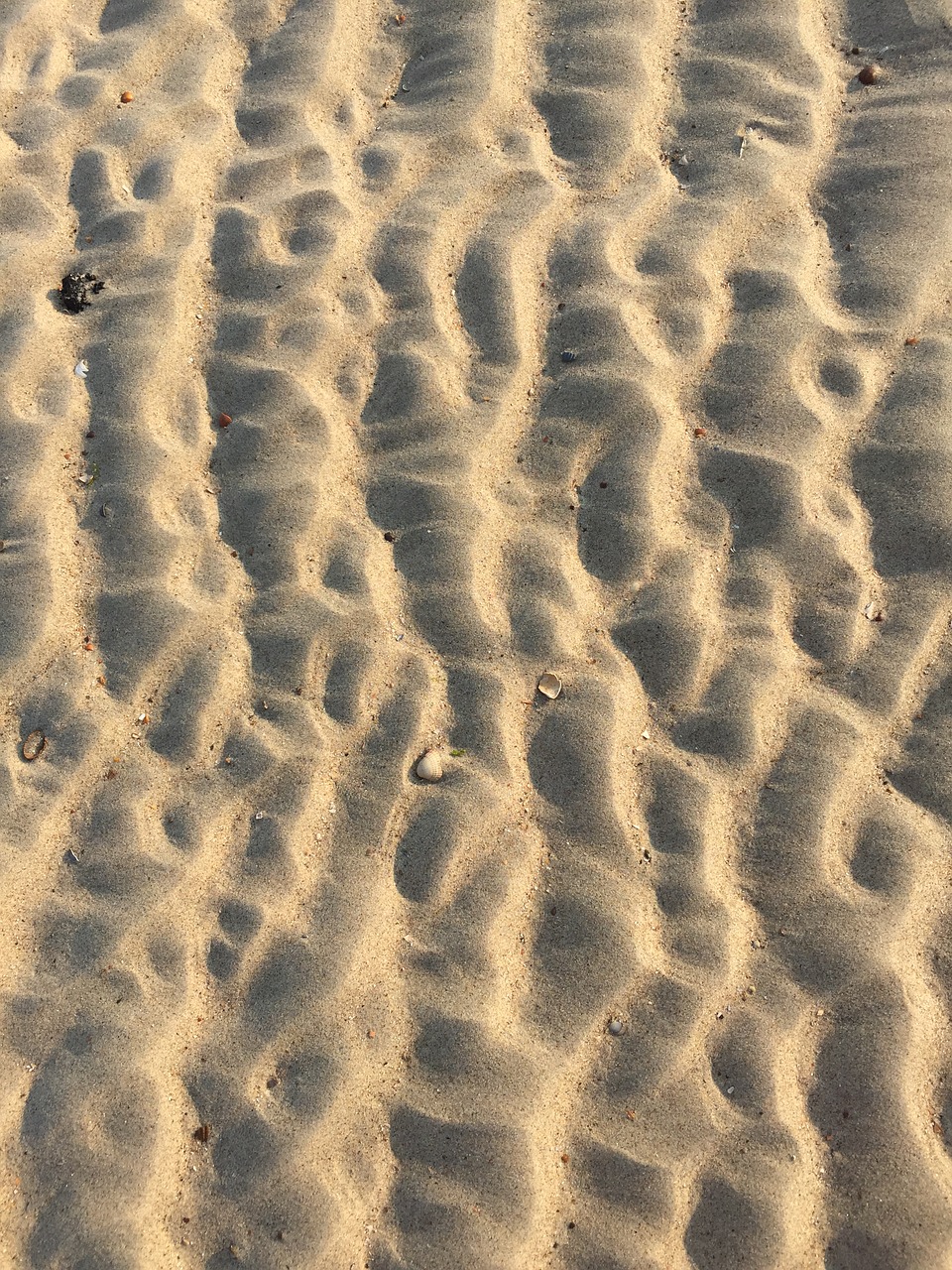 beach sand tracks in the sand free photo