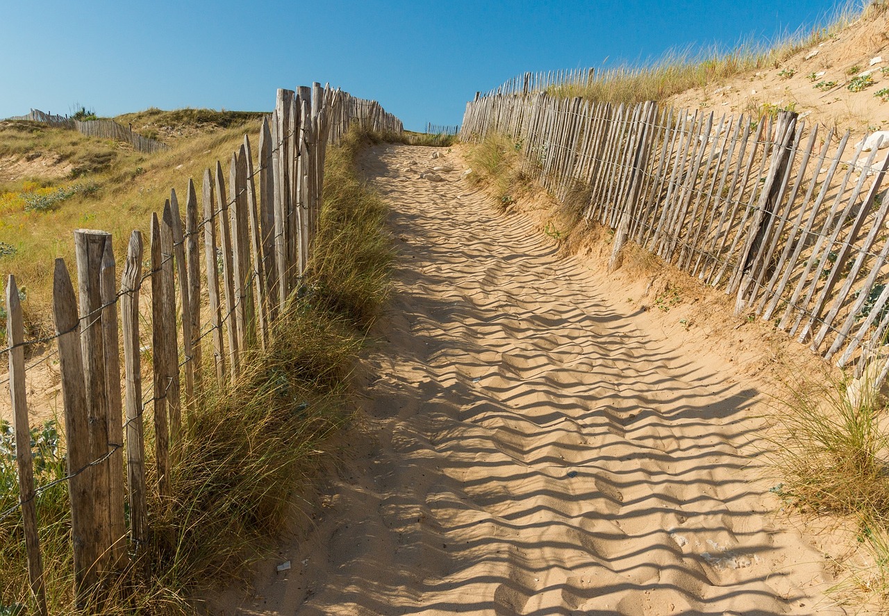 beach path picket fence free photo