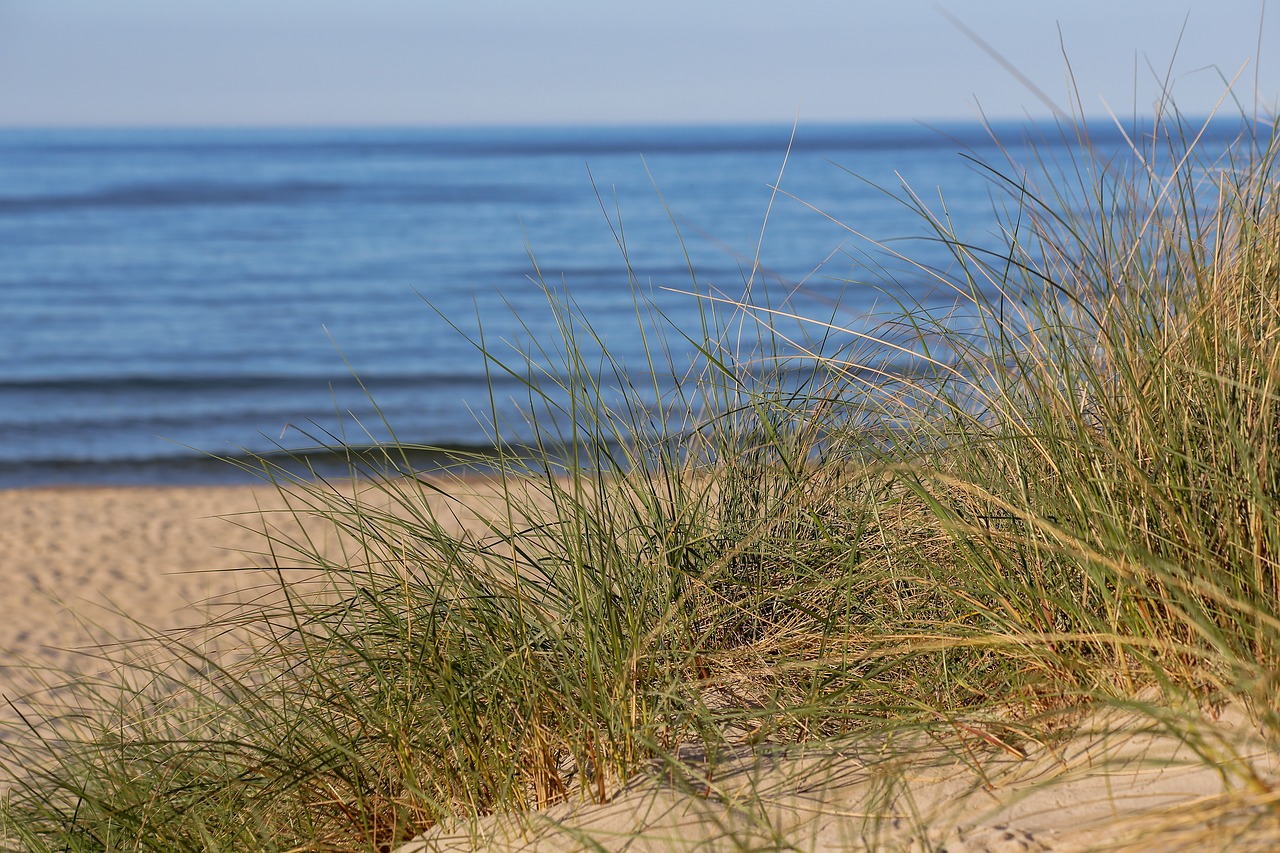 beach baltic sea sand beach free photo