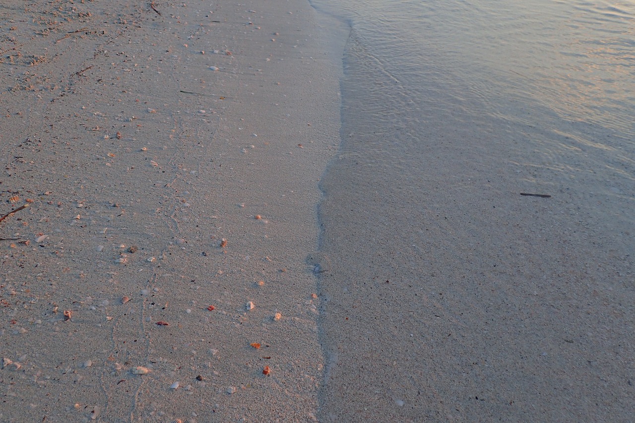 beach sea pebble free photo