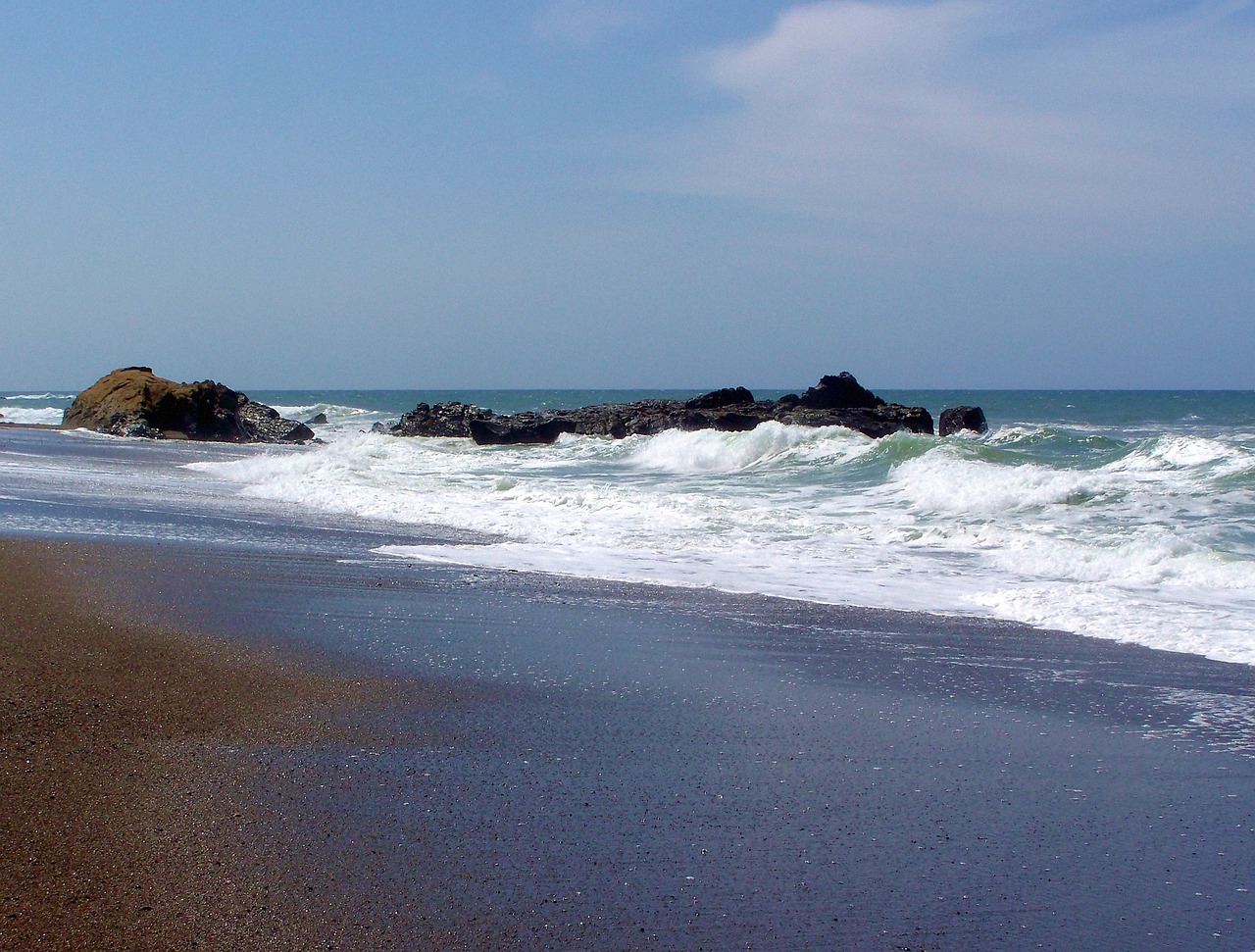 beach sea surf free photo