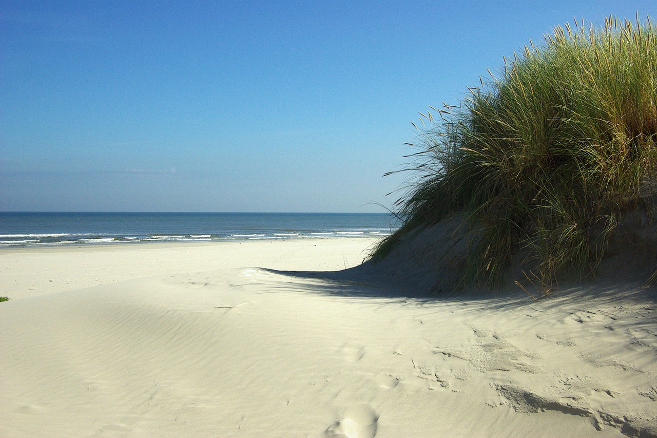 beach sea ameland free photo