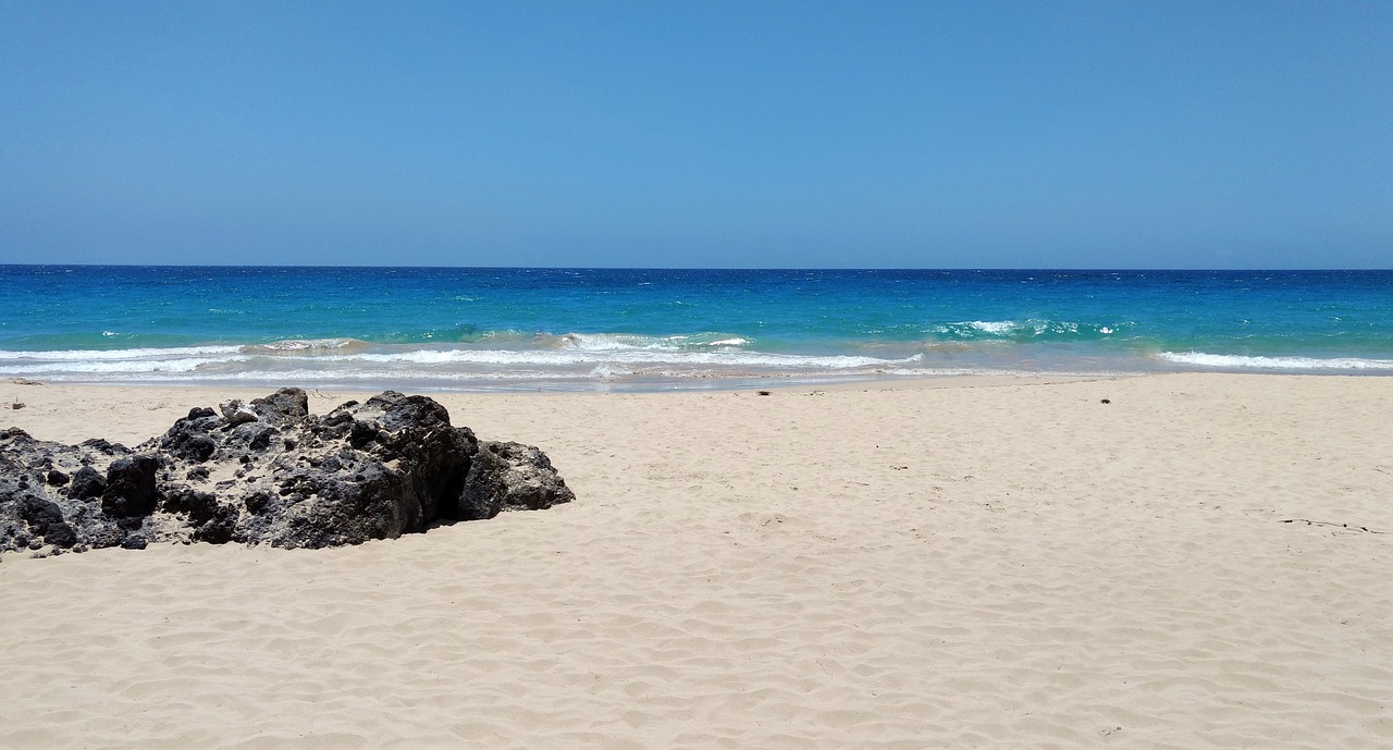 beach sand ocean free photo