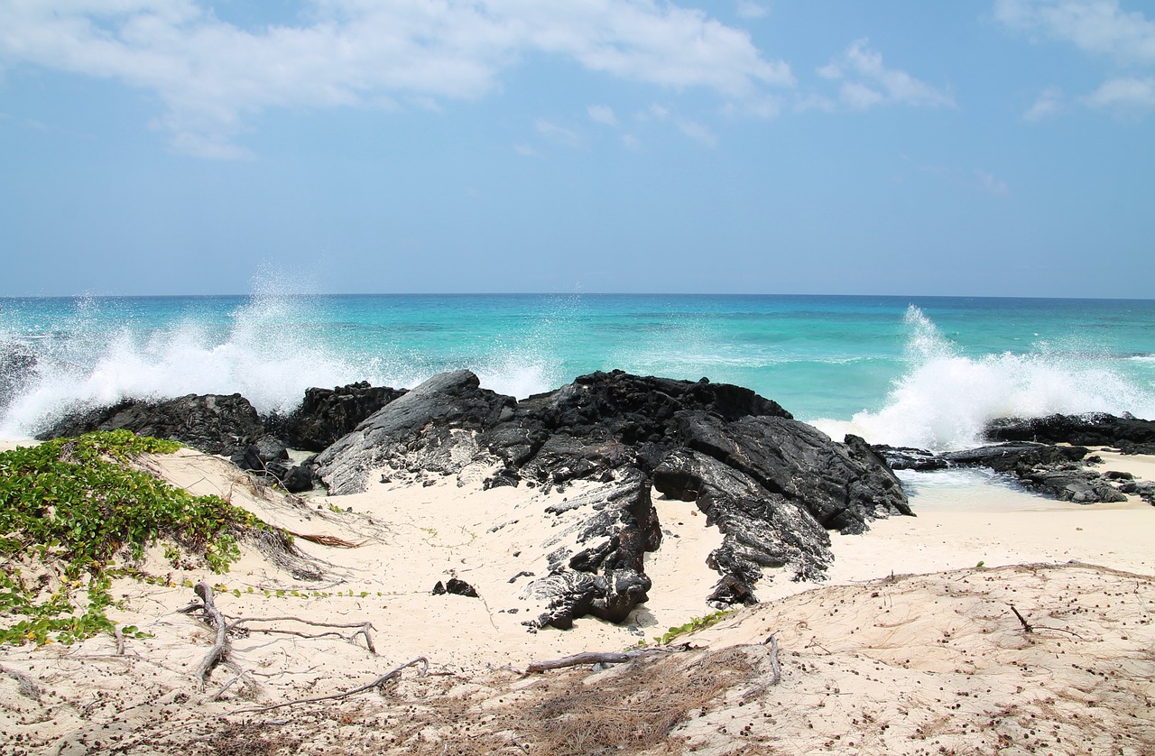 beach roche ocean free photo