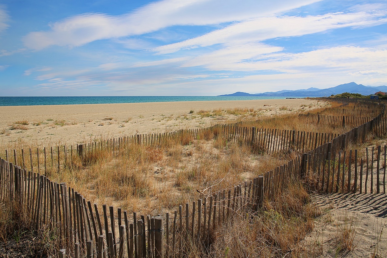 beach sand sea free photo