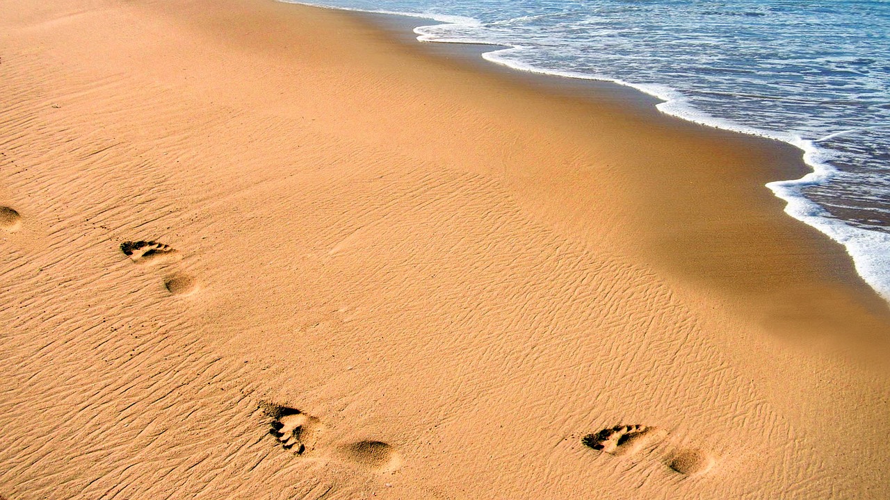 beach sand ocean free photo