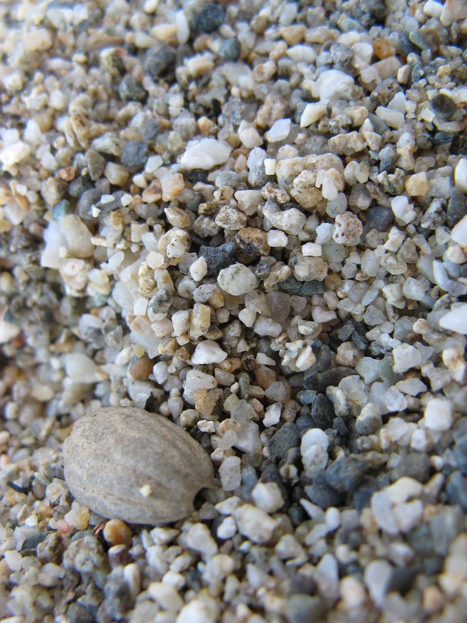 beach sand stones free photo