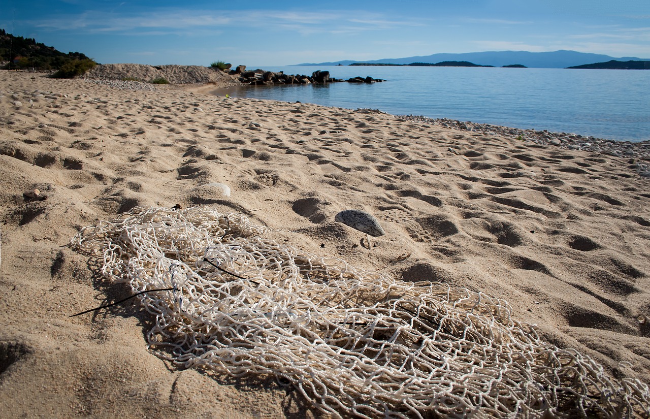 beach sea coast free photo