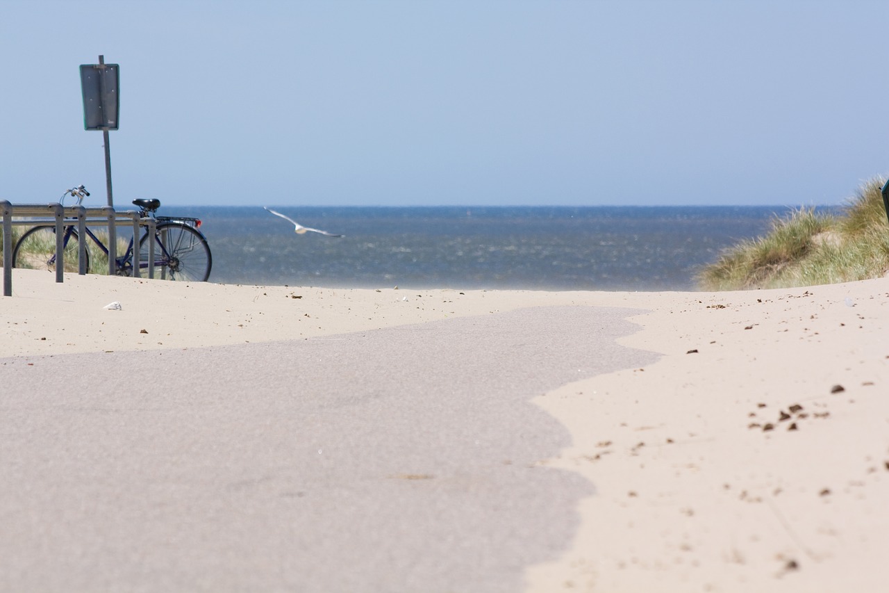 beach dune north sea free photo