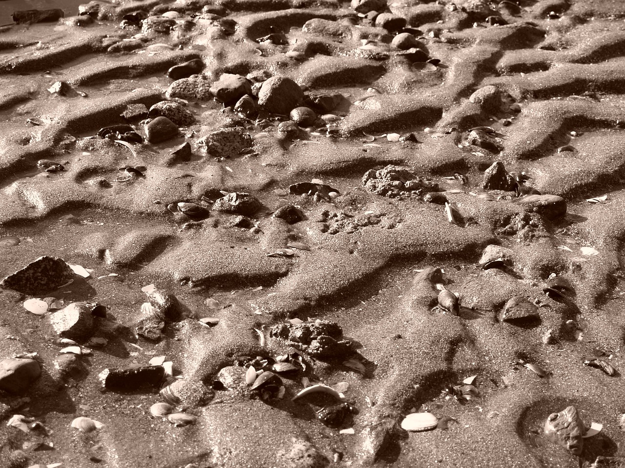 sand ocean beach free photo