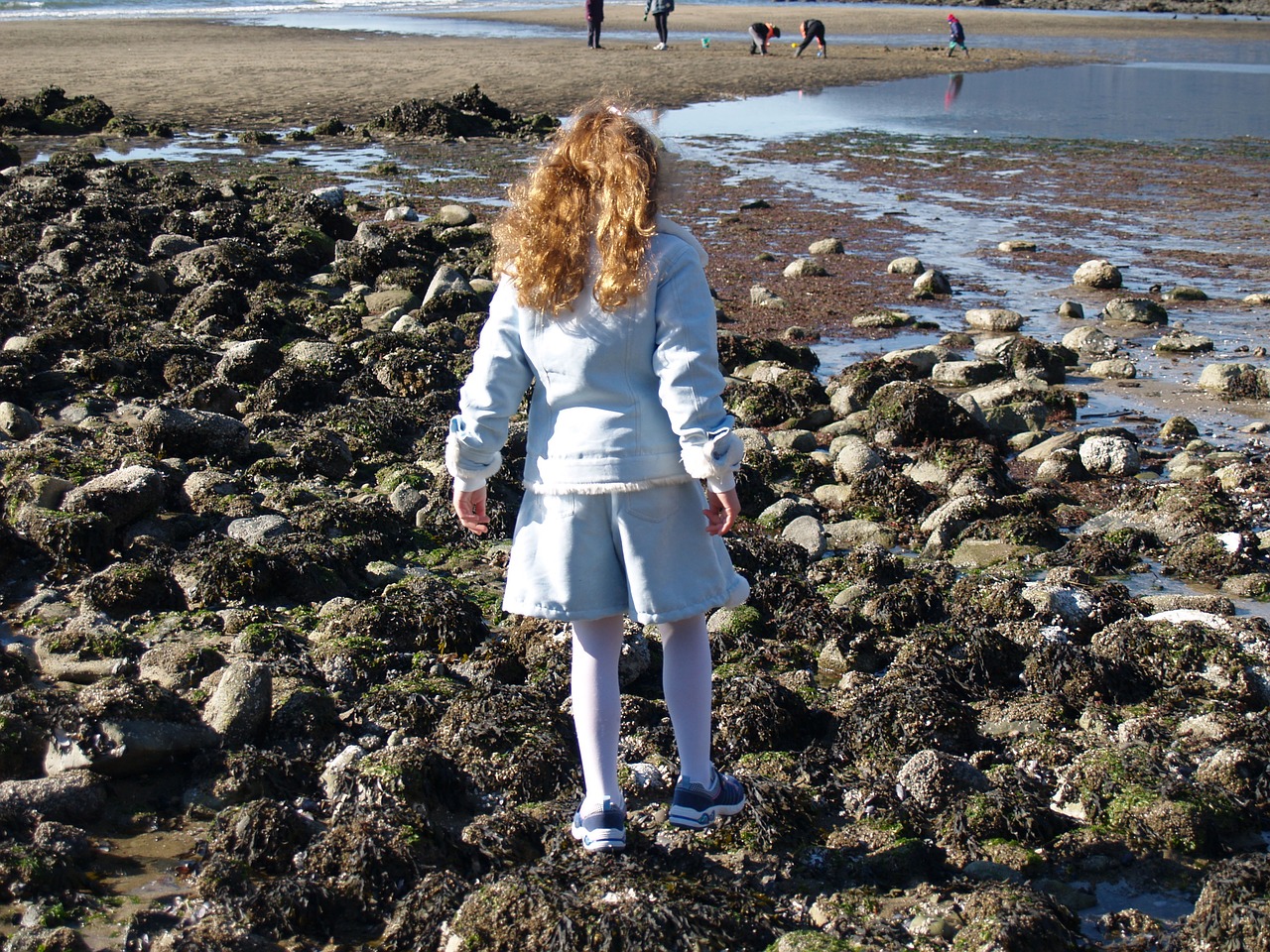 beach rock girl free photo