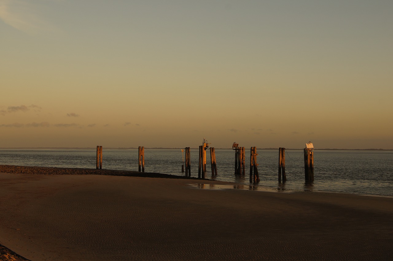 beach water sea sunset free photo