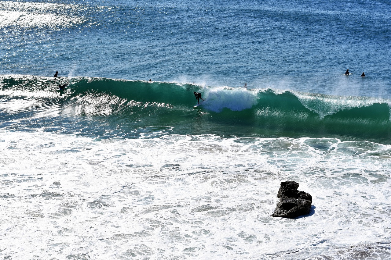 beach surfing new free photo