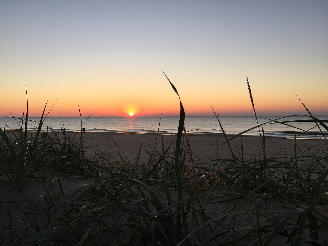 beach dune setting sun free photo