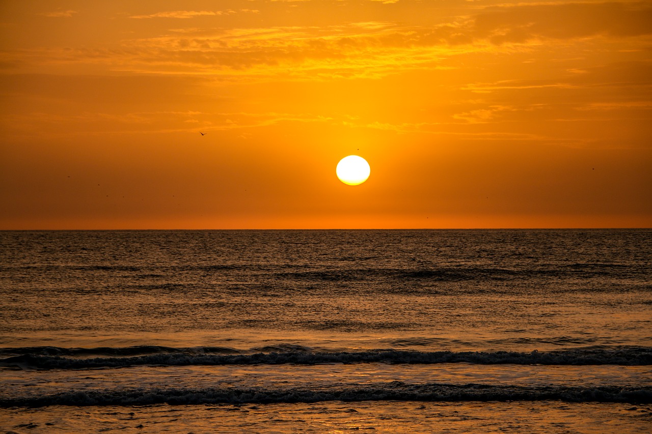 beach sunset sun free photo