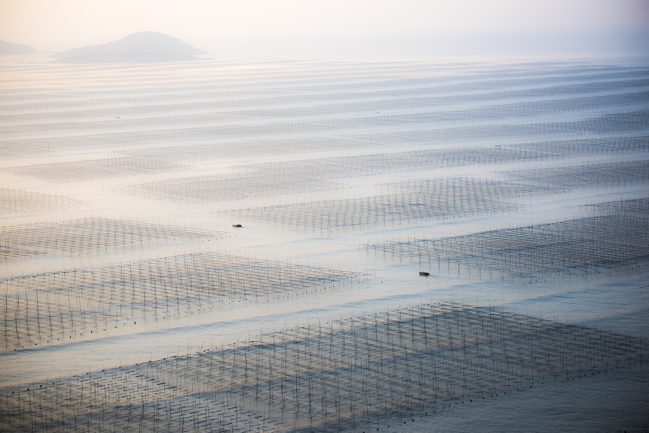 beach shoals fujian free photo