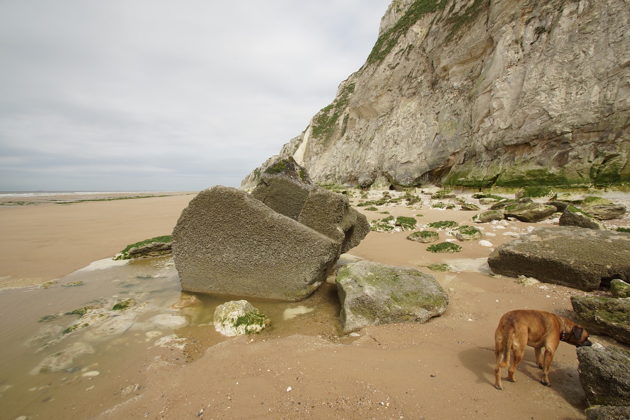 beach northern france water free photo