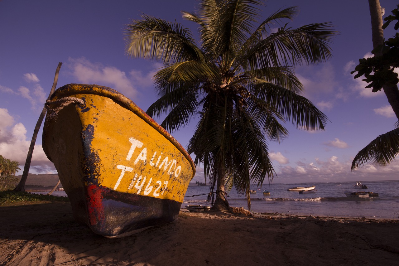 beach boat boats free photo