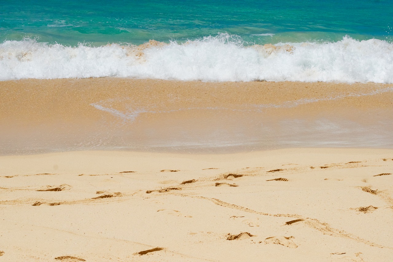 beach ocean sand free photo