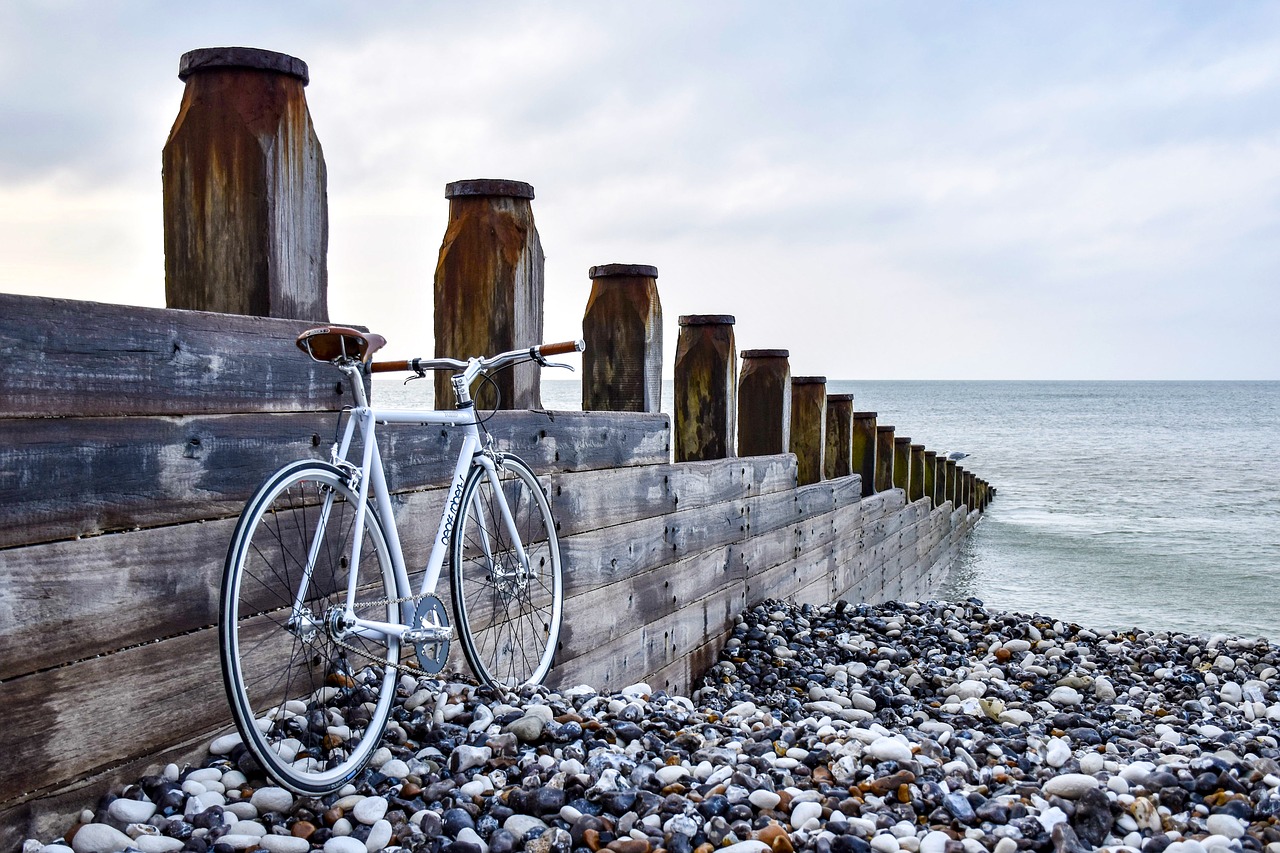 beach bicycle bike free photo