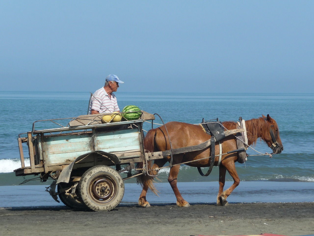beach seller wagon free photo