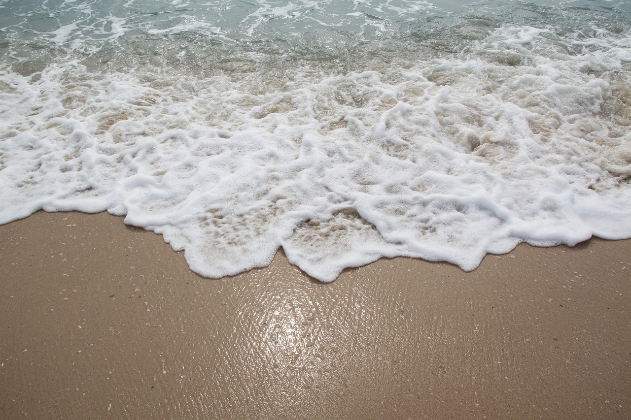 beach sea wave free photo