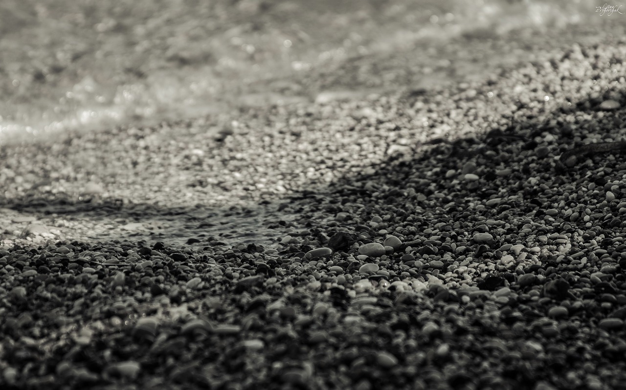 beach sea stones free photo