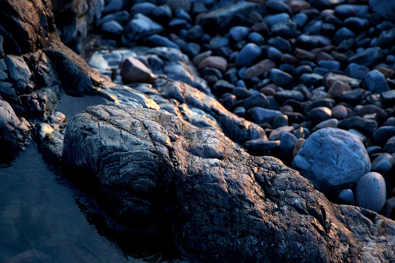 beach nature ocean free photo