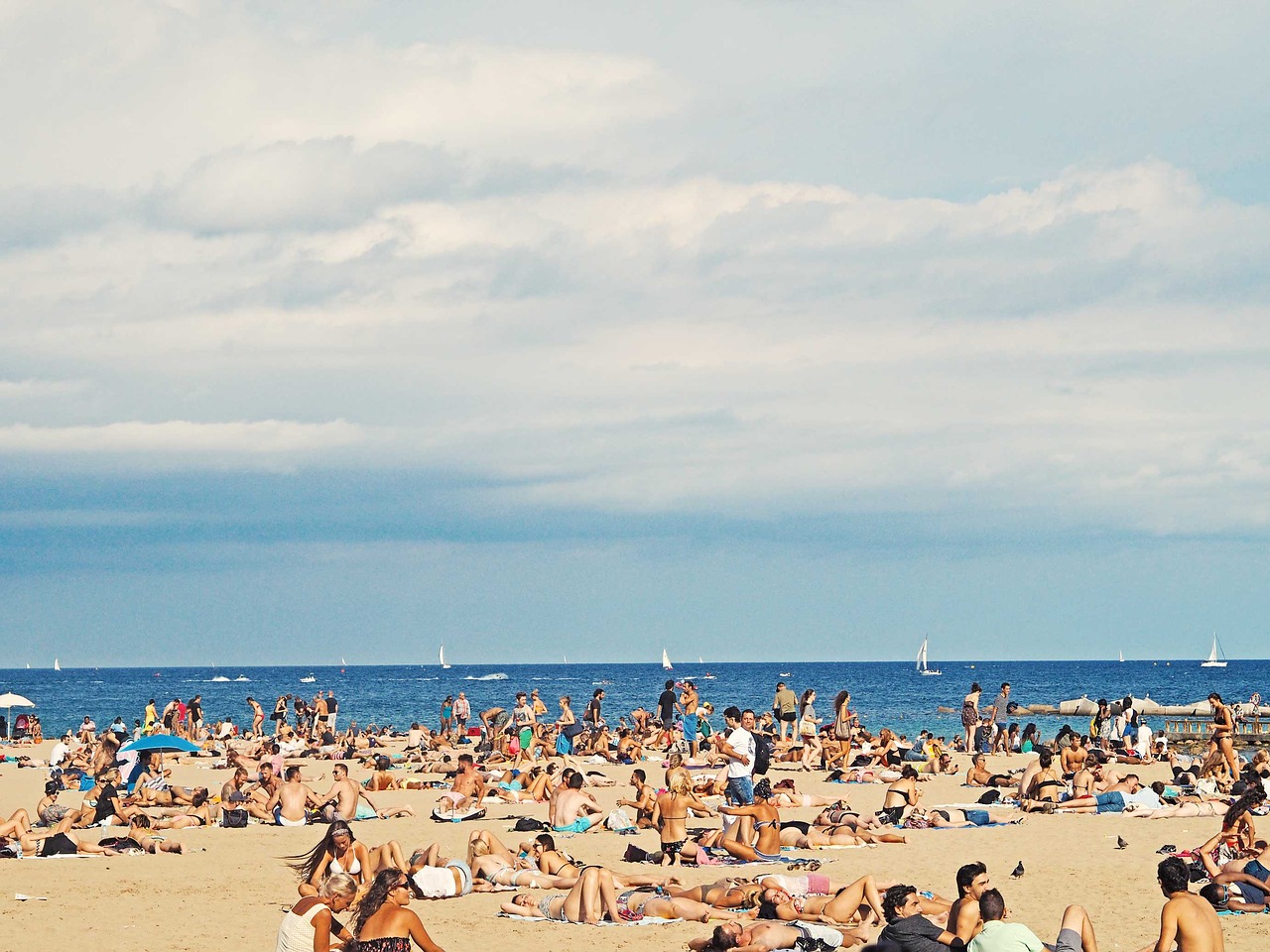 beach ocean outdoors free photo