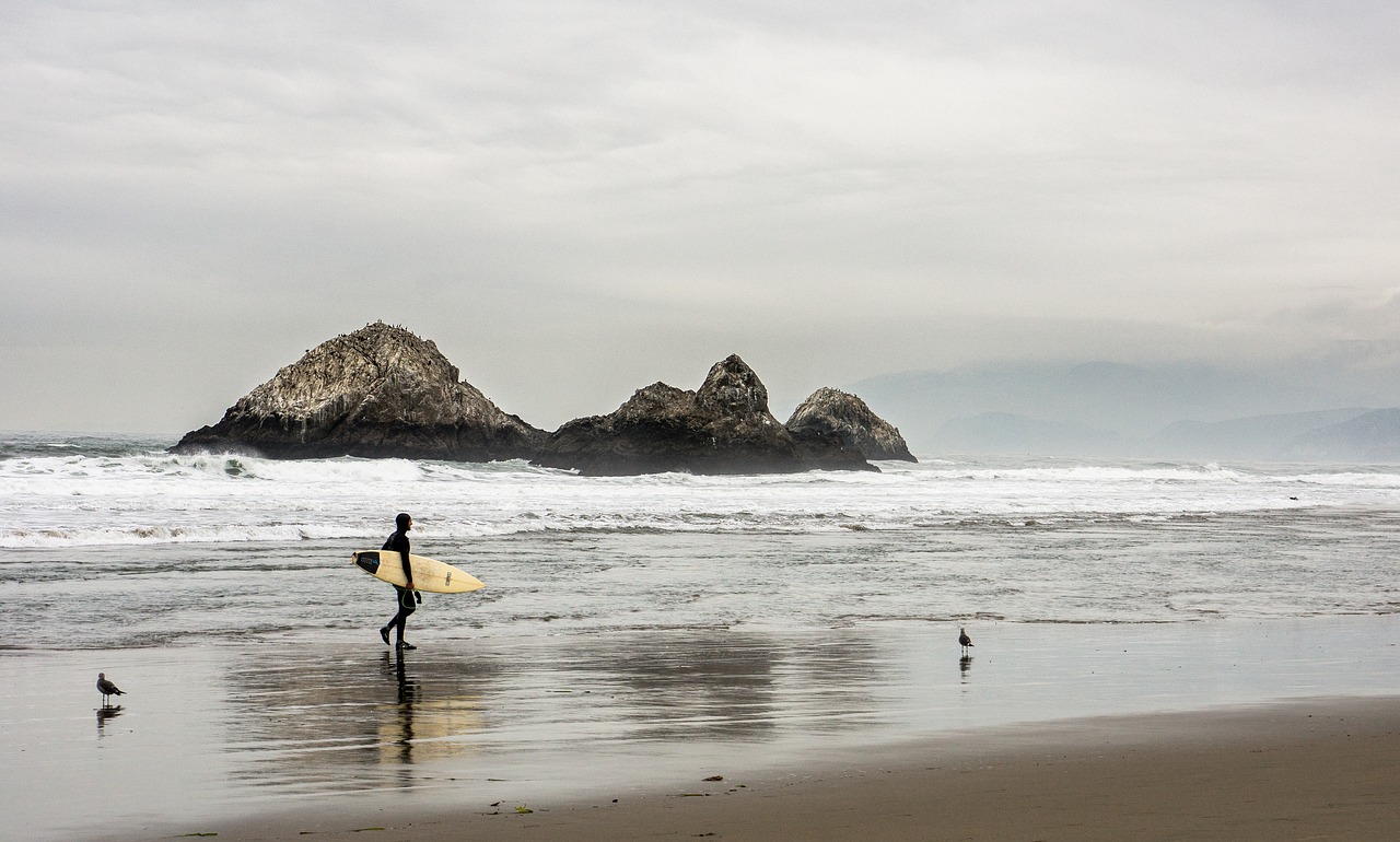 beach ocean outdoors free photo