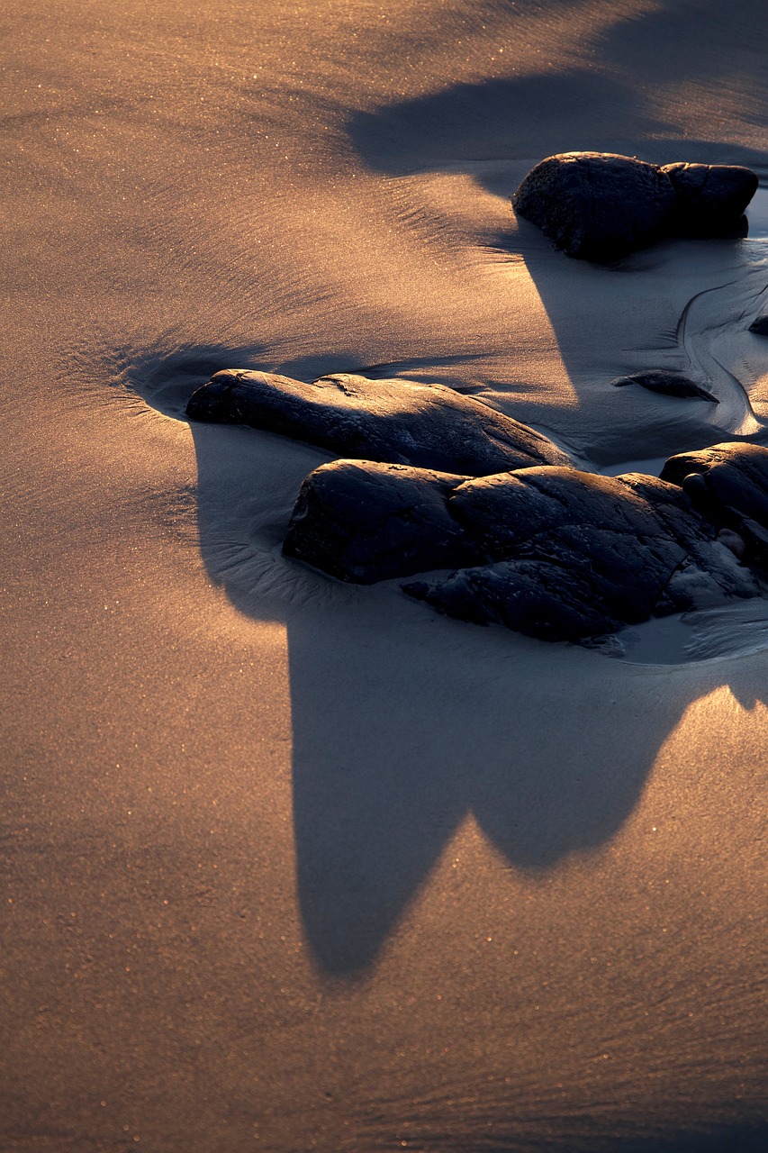 beach nature ocean free photo