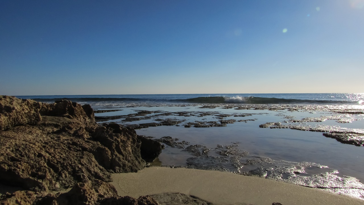 beach sea sand free photo