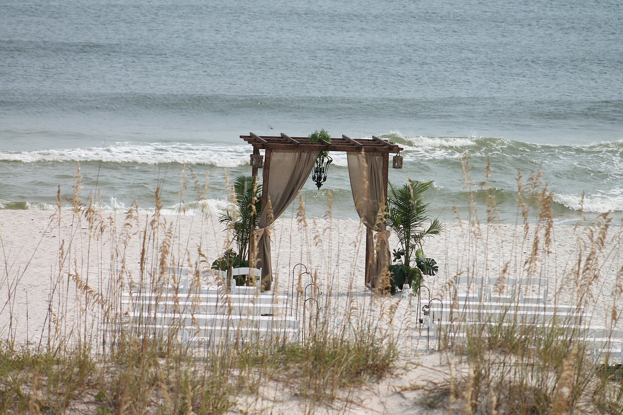beach wedding ornament free photo