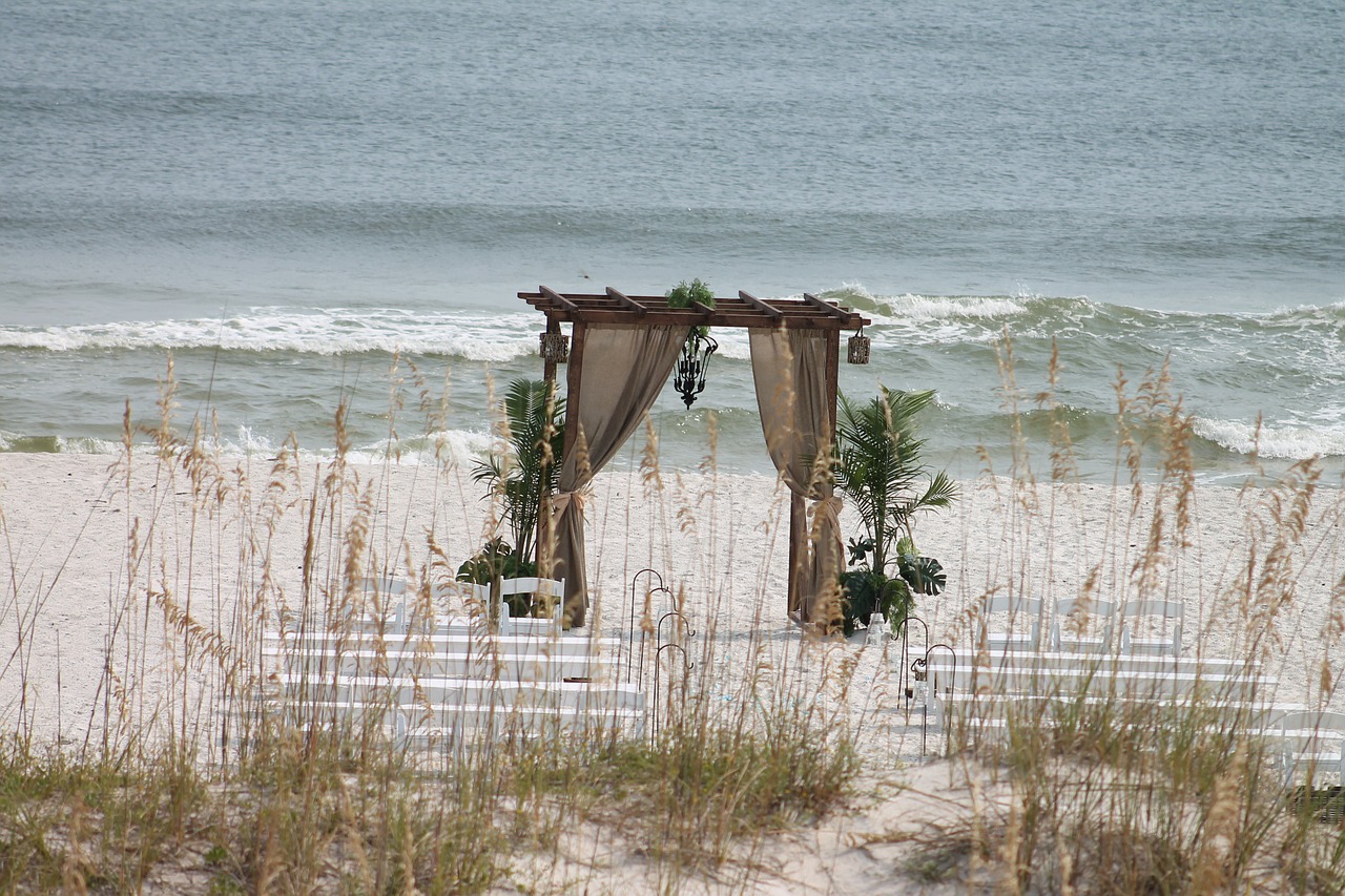 Download free photo of Beach,wedding,ornament,decoration,plants - from