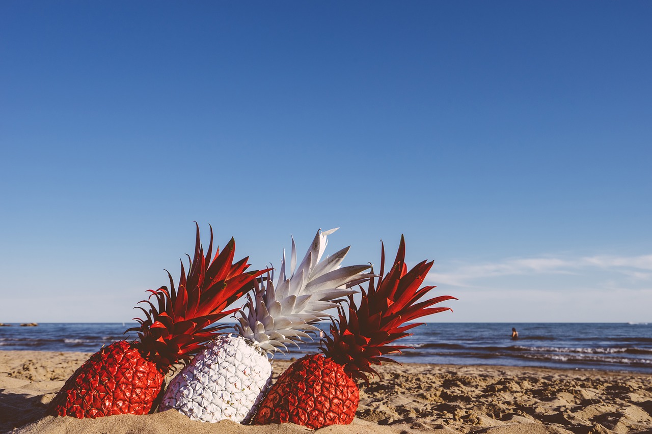 beach fruits ocean free photo